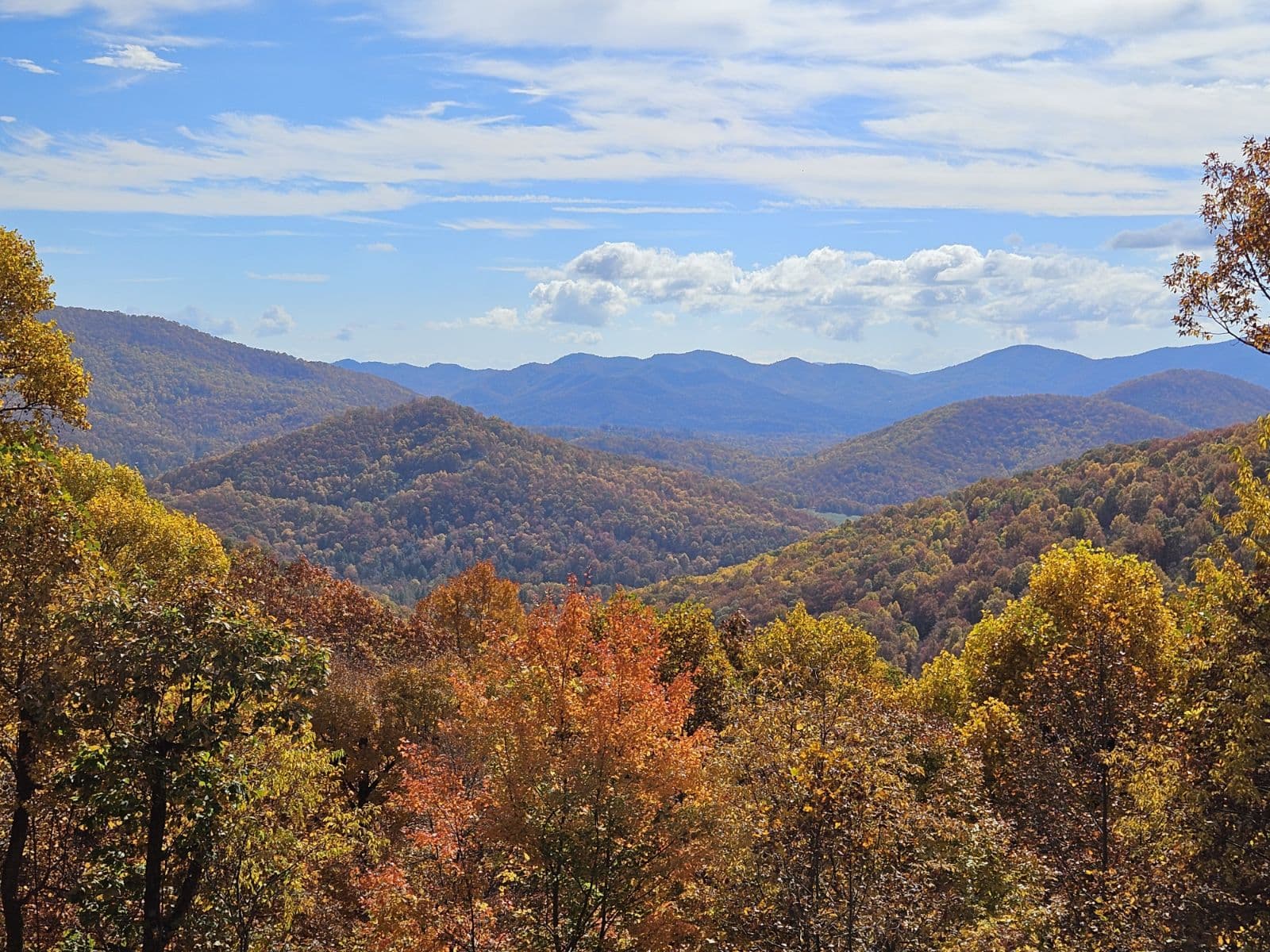 Convenient Locations, Comfortable Stays!